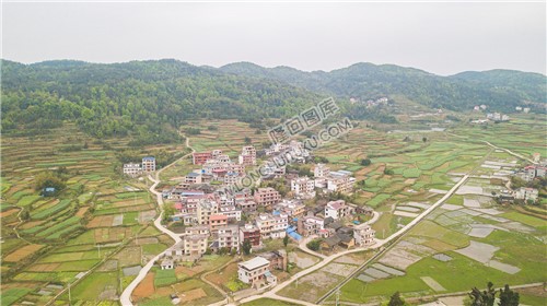石岭村