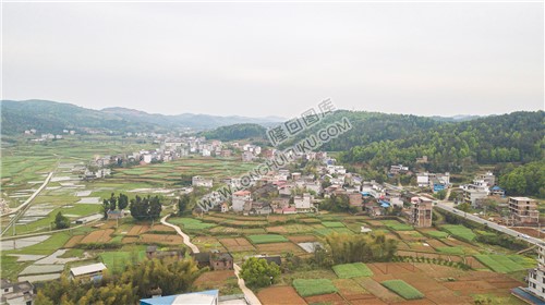 石岭村