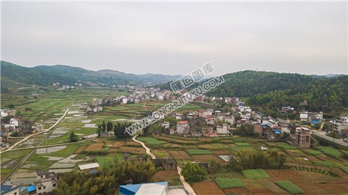 石岭村