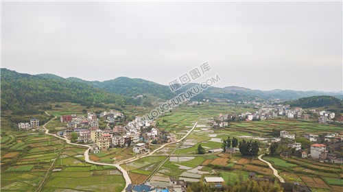 石岭村