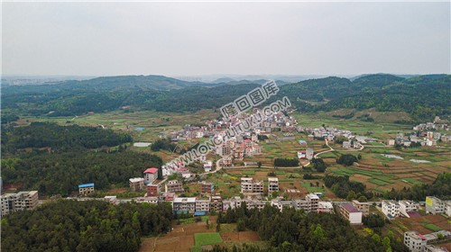 田坝村