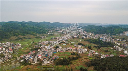 田坝村