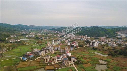田坝村