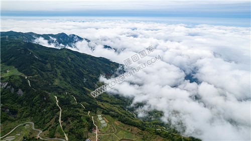 草原村的云海