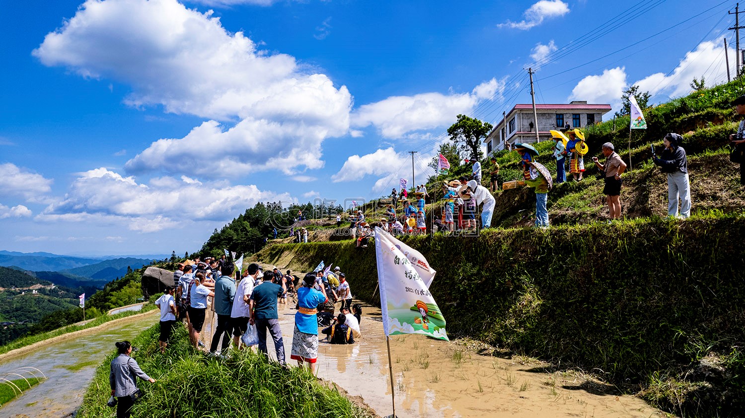 白水洞插秧节