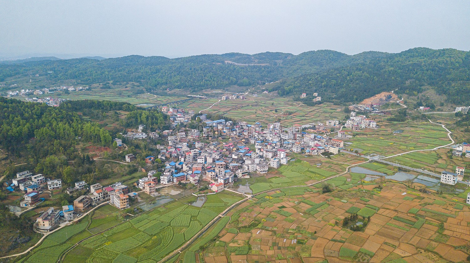 西坪村