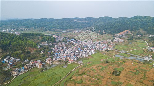 西坪村
