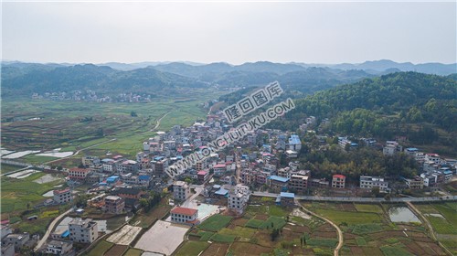西坪村