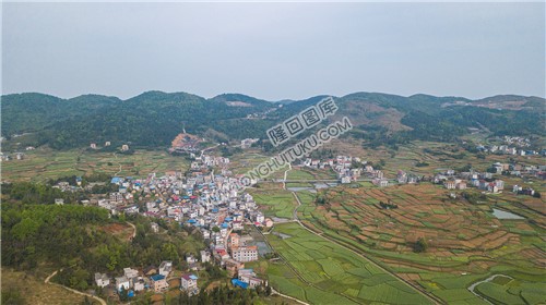 西坪村