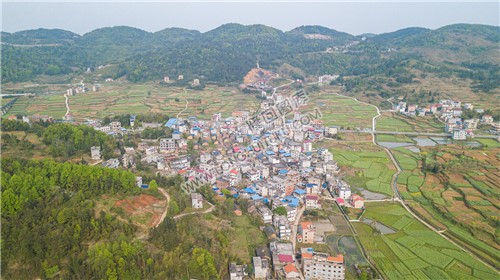 西坪村