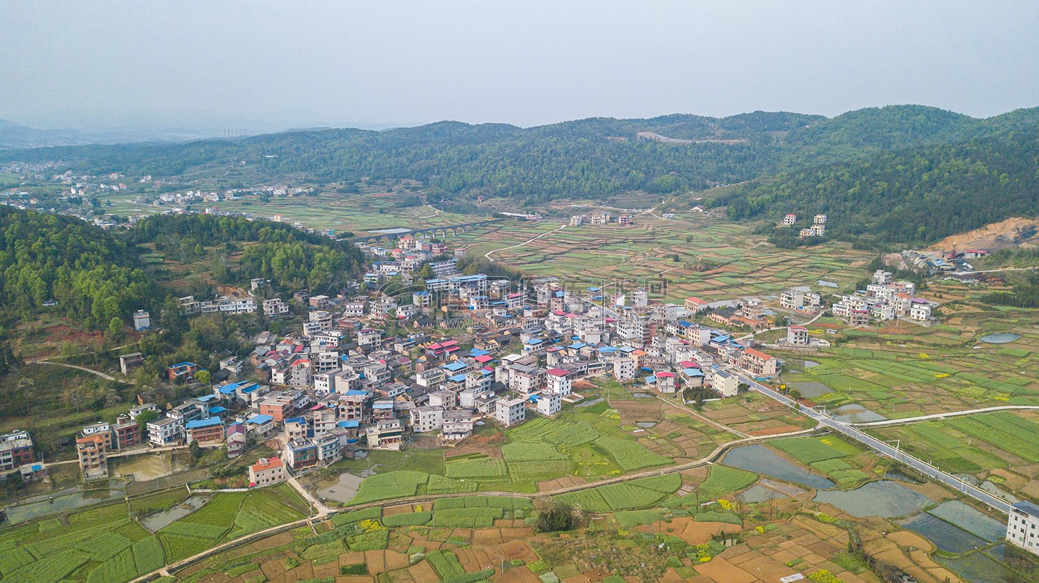 西坪村