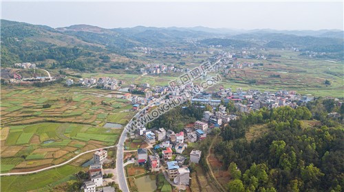 西坪村