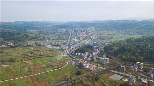 西坪村