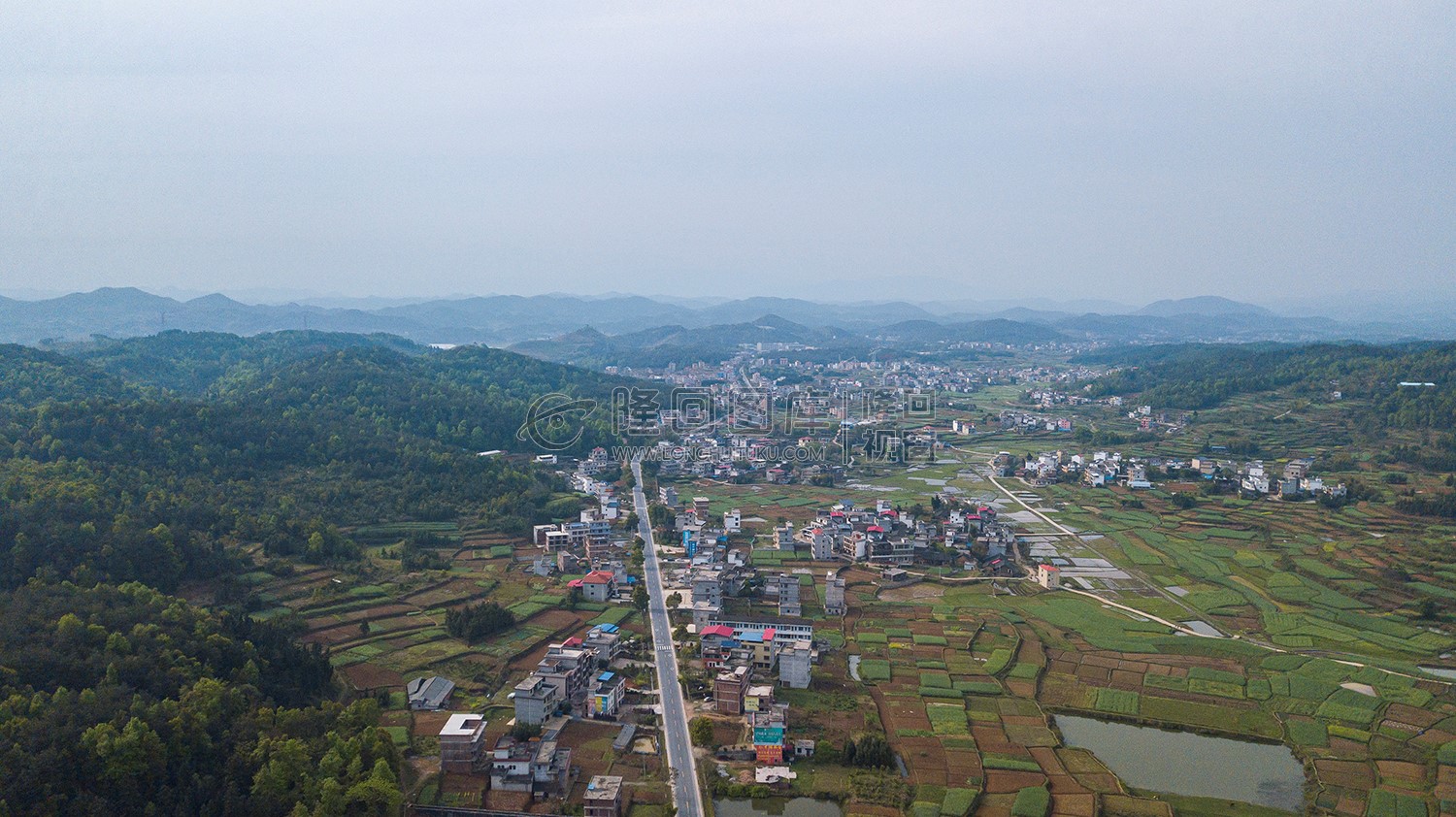 西坪村