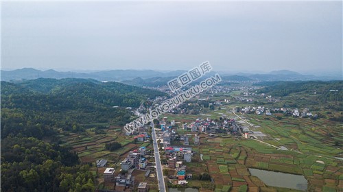 西坪村