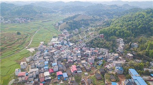 西坪村
