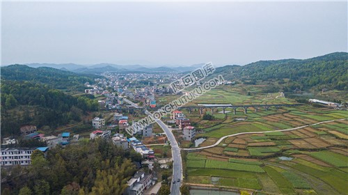 西坪村