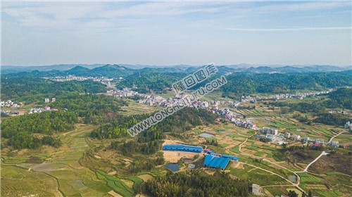 红星村