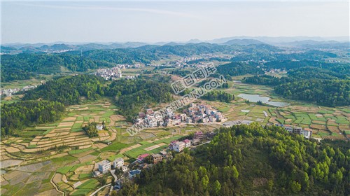 红星村