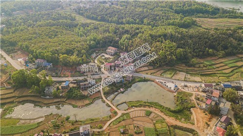红星村