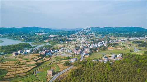 红星村