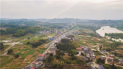 红星村