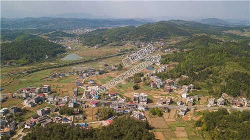 红旗村