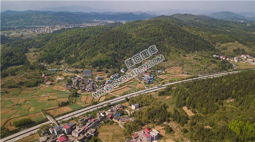 红旗村