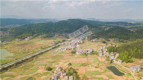 红旗村