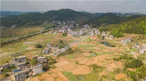 红旗村