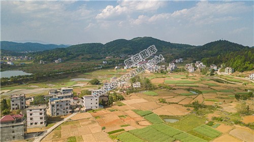 红旗村