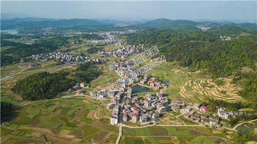 胜利村