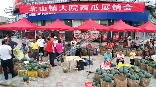 北山镇大院西瓜展销会