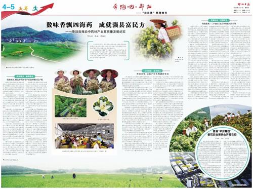 首届“早安隆回”银花百合展销会开幕在即